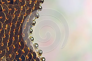 Abstract Colorful Background Textures.