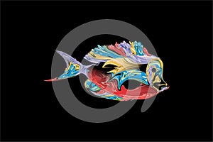 Abstract colorful fish with black Background. Vector Illustration