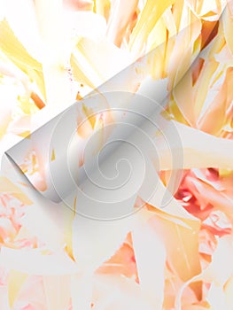 Abstract colorful flower background natural and beautiful