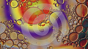 Abstract Colorful Food Oil Drops Bubbles and spheres Flowing on Water Surface, macro Videography