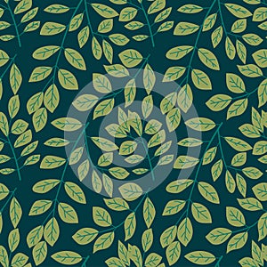 Abstract colorful Leaves background pattern - Illustration, Textile, Plant, Leaf, Wallpaper,white background,Painted Image photo