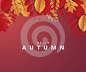 Abstract colorful leaves decorated  background for  Hello Autumn advertising header or banner design. Paper cut art design. Vector