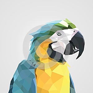 Abstract colorful low polygon macaw parrot head. Vector illustration