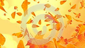 Abstract Colorful maple autumn leaves leaves autumnal Loop background Alpha