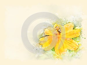 Abstract colorful yellow flower and bee on watercolor illustration painting