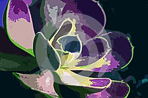 ABSTRACT COLOURISED IMAGE OF A SUCCULENT