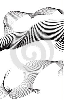 Abstract composition of black and white vector