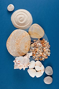 Abstract composition of various sea shells, sand and stones