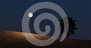 Abstract concept, big moon on the hillside.3D illustration