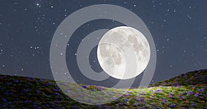 Abstract concept, big moon on the hillside.3D illustration