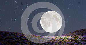 Abstract concept, big moon on the hillside.3D illustration