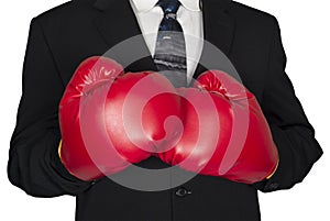 Abstract Concept Business Boxing Gloves Isolated