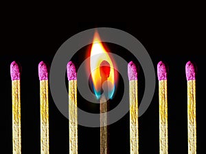 Abstract photo of burning matchstick together with other not burnt matchsticks