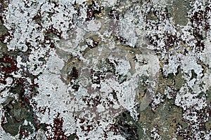 Abstract concrete wall with insolent plaster and paint