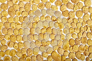 Abstract corn flakes background or banner