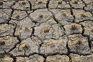 The abstract of the cracks of the ground according to the tropical climate