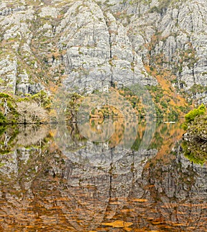 Abstract Crater lake , Cradle mountain national park,Tasmania, mountain rocks and autumn colored fagus reflecting into the lake