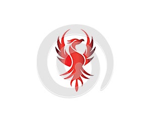 Creative Phoenix Bird Logo Vector