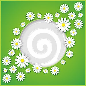 Abstract background with flower camomile