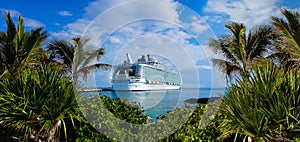 Abstract cruise ships or big liners in open water with tropic palm background . Collage about travel