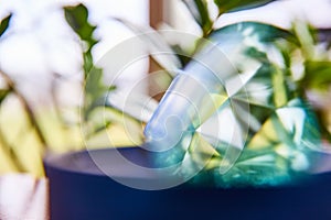 Abstract Crystal Refraction and Plant Blur - Close-Up Perspective