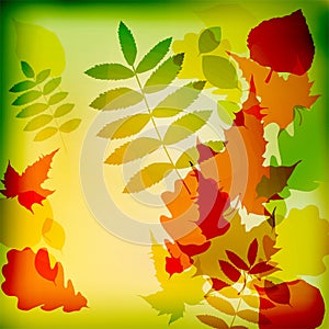 Abstract cute autumnal background