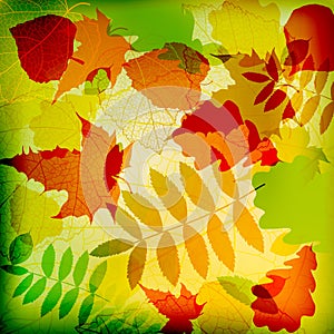 Abstract cute autumnal background vector