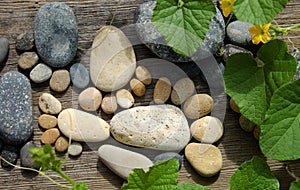 Abstract cute pebbles, footprint from boulder