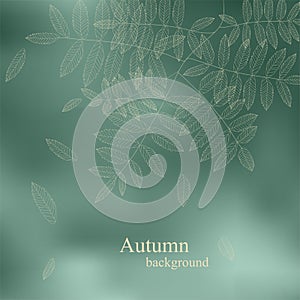 Abstract cute spring background vector