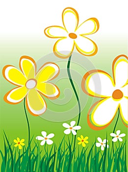 Abstract daisies illustration photo