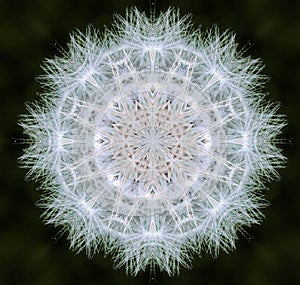 Abstract dandelion clock