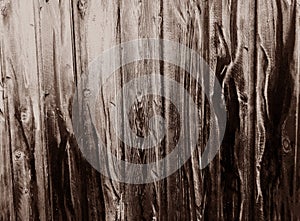 Shabby Wood Background. photo