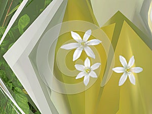 A abstract decomposed fowerbed with flowers and leaves