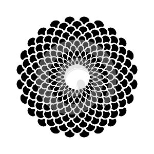 Abstract Decorative Radial Pattern in Flower Rosette Shape