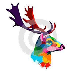 Abstract deer head portrait, cervus elaphus, dama dama from multicolored paints. Colored drawing