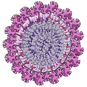 Abstract depiction of Coronavirus photo