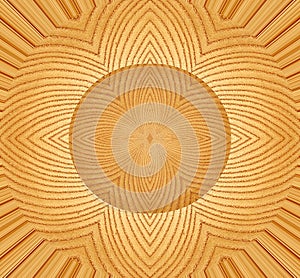 Abstract design with white ashwood