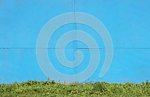 Abstract detailed blue metal wall background texture of sheet painted with paint and grass