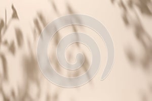 Shadow of leaves on solid beige wall texture background