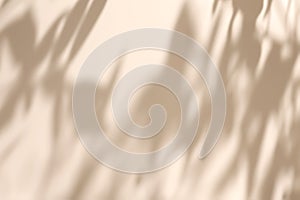 Shadow of leaves on solid beige wall texture background