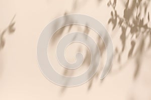 Shadow of leaves on solid beige wall texture background