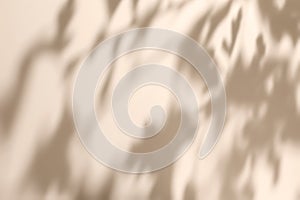 Shadow of leaves on solid beige wall texture background