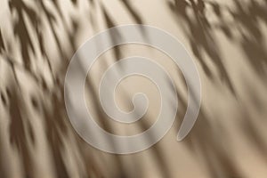 Shadow of leaves on solid beige wall texture background