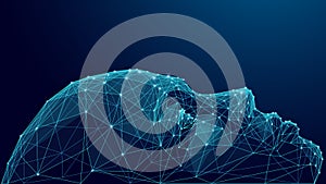Abstract Digital AI Human Face and Robot Head in Wireframe Style