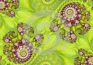 Abstract Digital Artwork. Patterns of nature. Magic Shells.