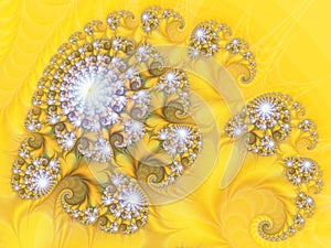 Abstract Digital Artwork. Patterns of nature. Magic Shells.