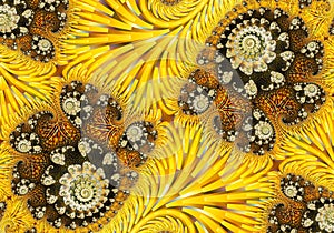 Abstract Digital Artwork. Patterns of nature. Magic Shells.