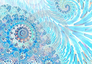 Abstract Digital Artwork. Patterns of nature. Magic Shells.