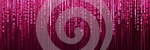 Abstract Digital Binary Code Data, Technology Background. Streaming Zeros And Ones In Pink.