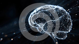 Digital Brain Network